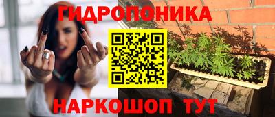 jwh Лесосибирск