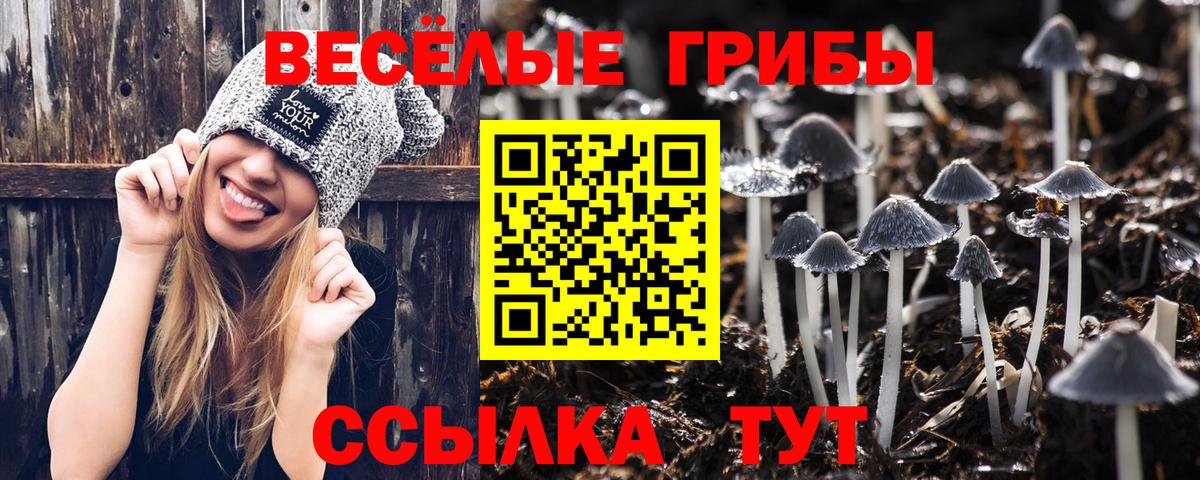 Псилоцибиновые грибы мухоморы  Вход с VPN  Шали 