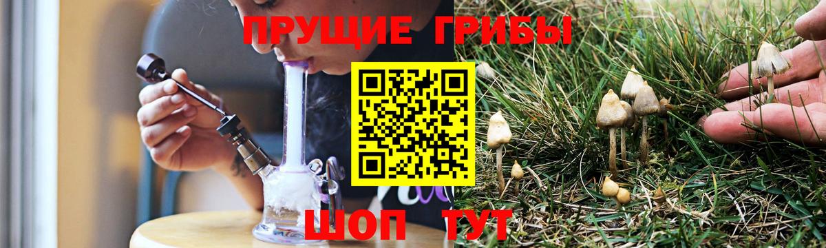 Псилоцибиновые грибы Psilocybine cubensis Шали